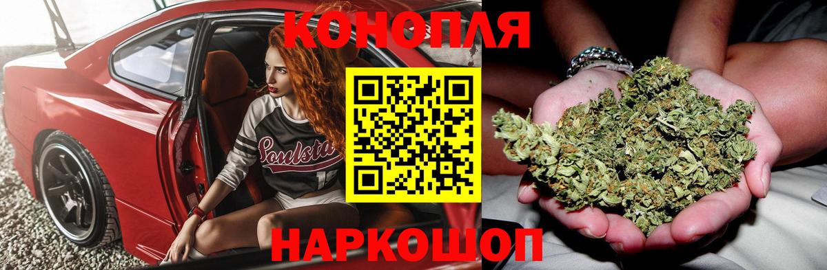 Канабис планчик Россия